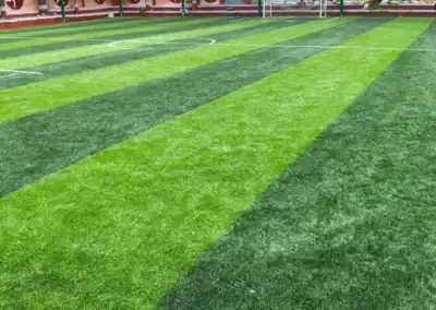 Nav Bharti Public School Sports Arena Photo - Football Turf