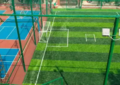 Nav Bharti Public School Sports Arena Photo - Pickleball Court & Turf
